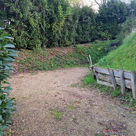 Gite Des Petites Ruelles : Familial Et Chaleureux Trôo Exterior foto